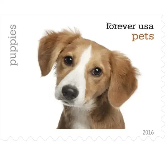 Pets Celebrate Animals Forever Stamps