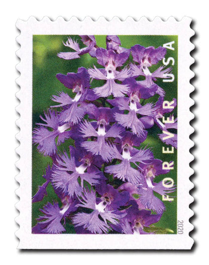 Wild Orchids Forever First Class Postage Stamps