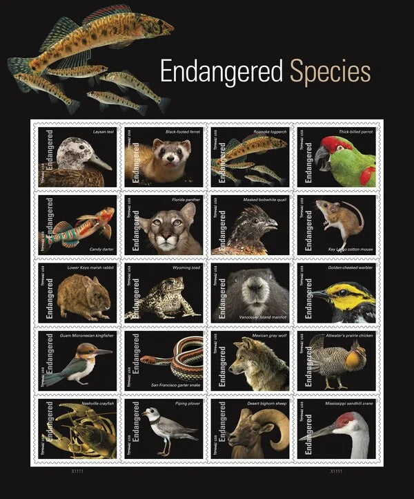 Endangered Species Forever Stamps
