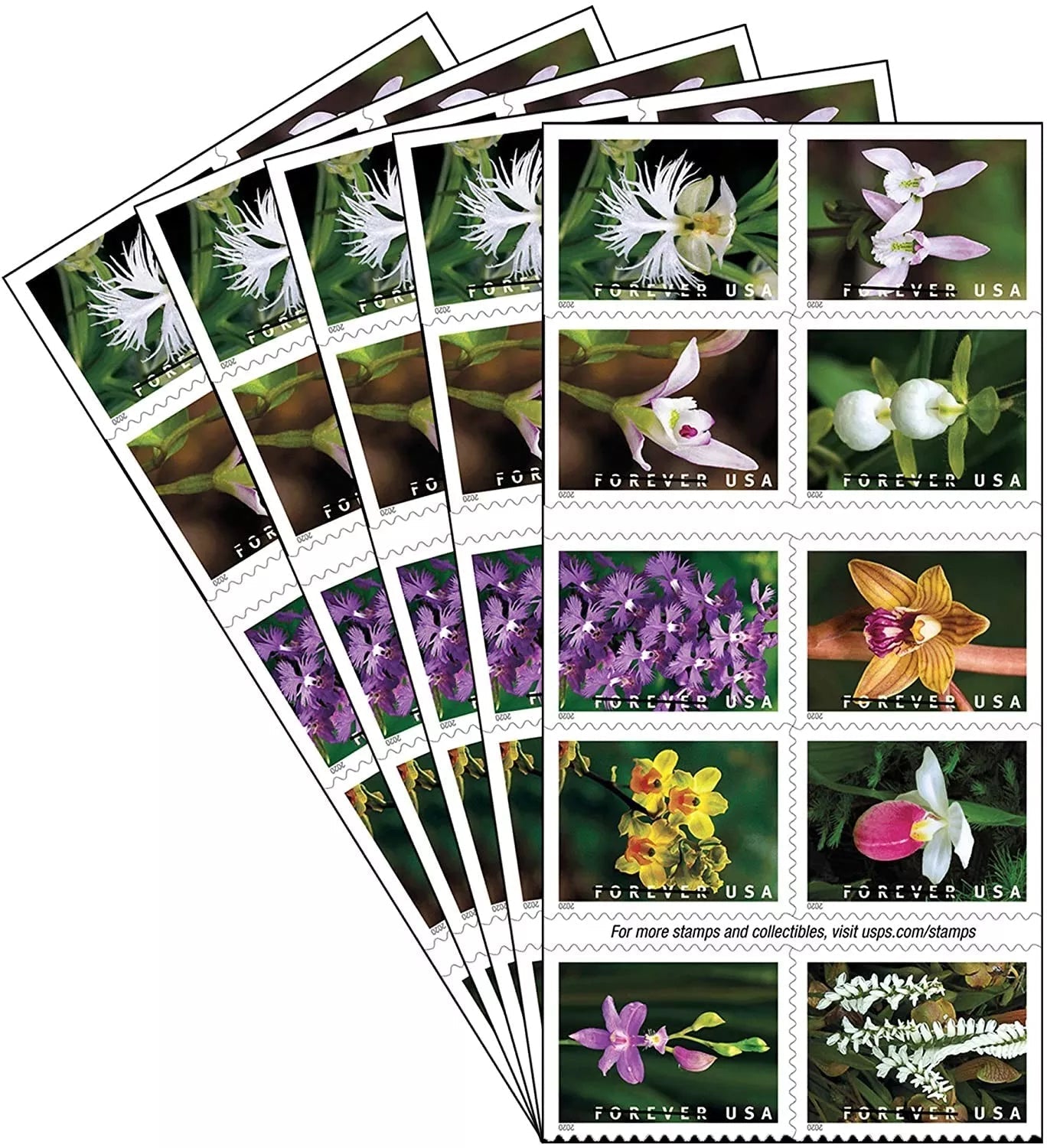 Wild Orchids Forever First Class Postage Stamps