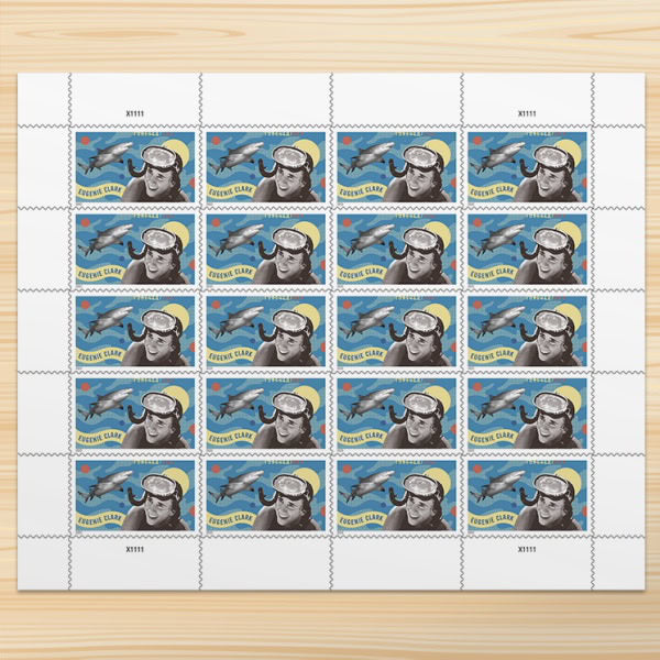 All Time Low (Price): $198 Get 1000 Forever Stamps, More Than 100 Styles to Choose