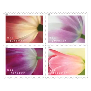 Tulip Blossoms Forever Stamps